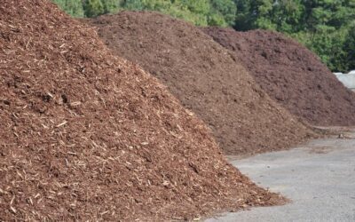 Common Mulching Mistakes and How to Fix Them