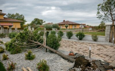 How to Protect Landscaping from Hurricanes