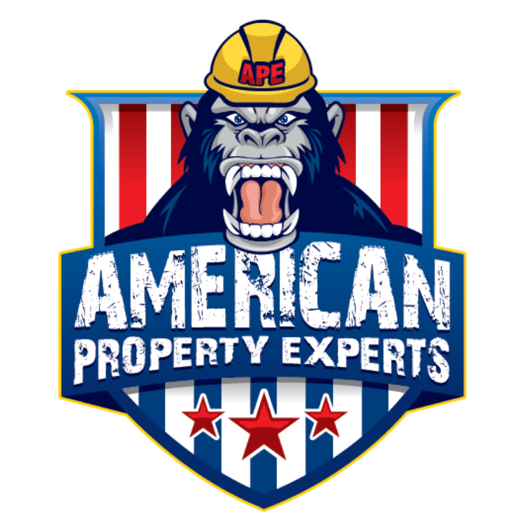American Property Experts