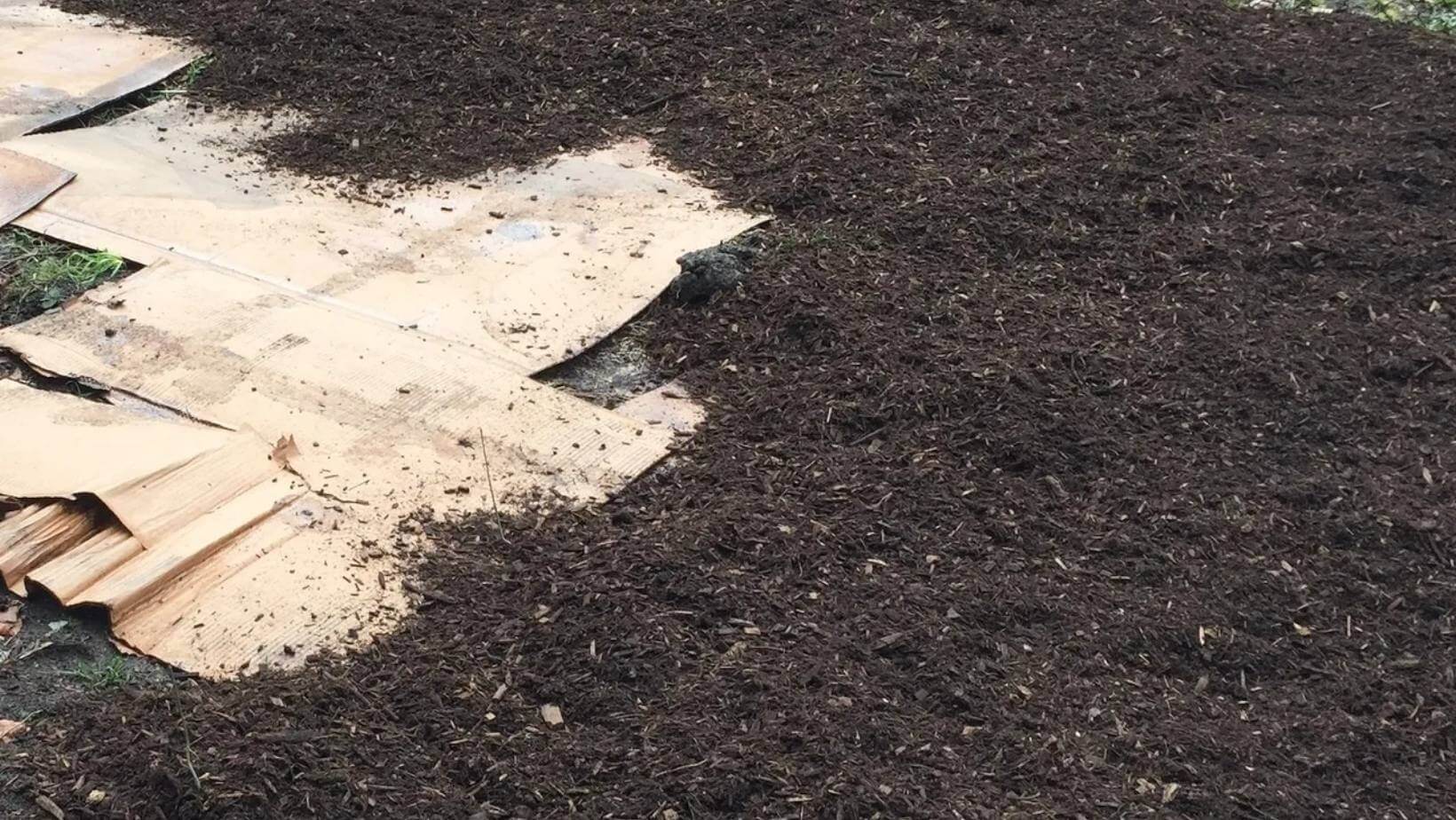 Sheet Mulch