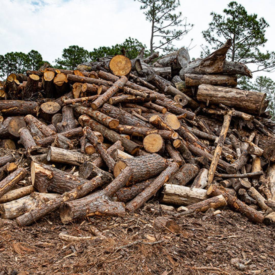 Vegetative Debris Recycling