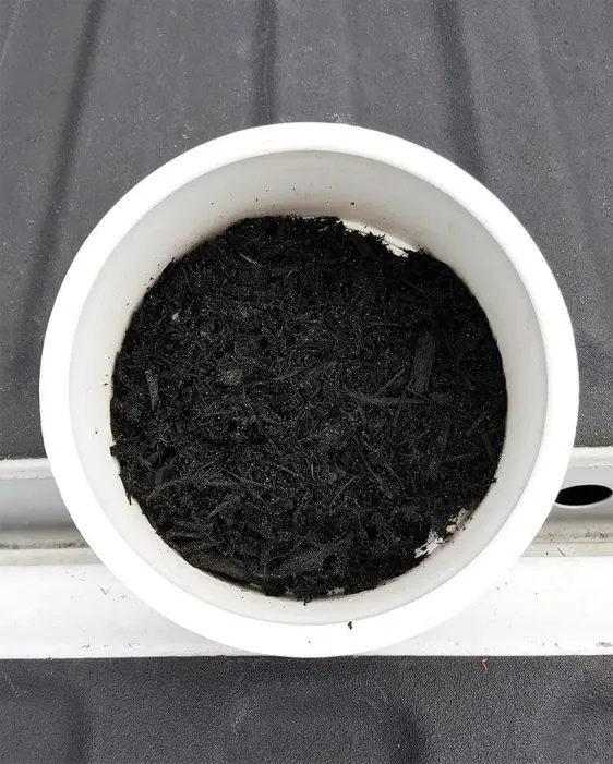 Black Mulch