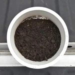 Topsoil Blend