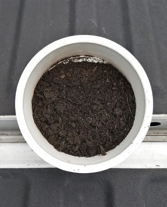 Topsoil Blend