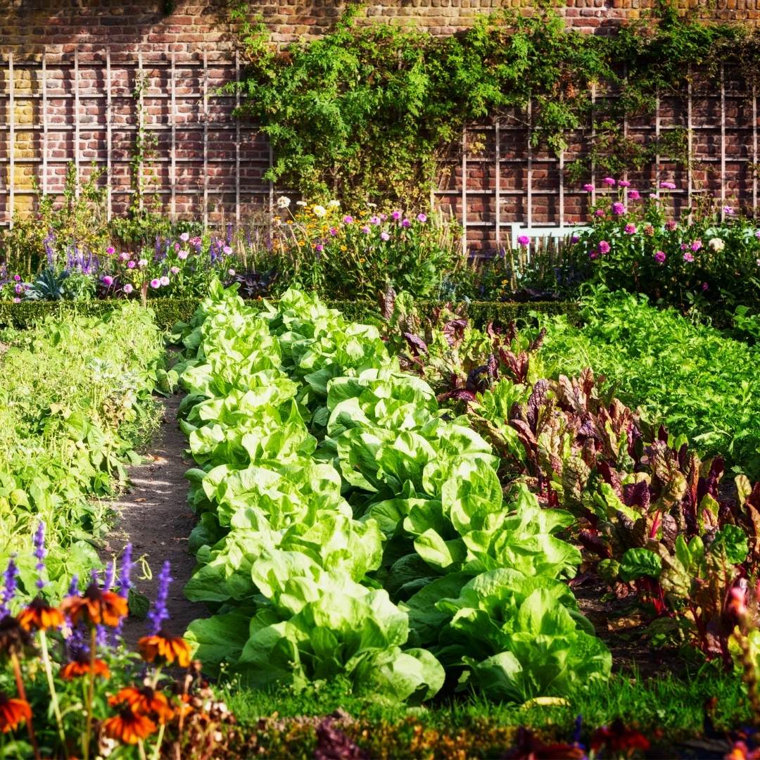 Compost Blend