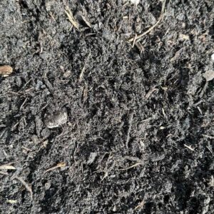 Nutrient-Rich Compost Blend